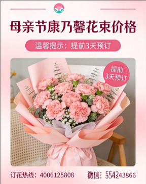 泸州古蔺县花店母亲节康乃馨花束
