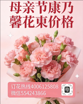 泸州古蔺县花店母亲节康乃馨花束